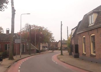 Bomen verwijderd Larenseweg 