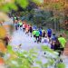 36e editie Triathlon Holten op 19 en 20 juni 2020 triathlon 