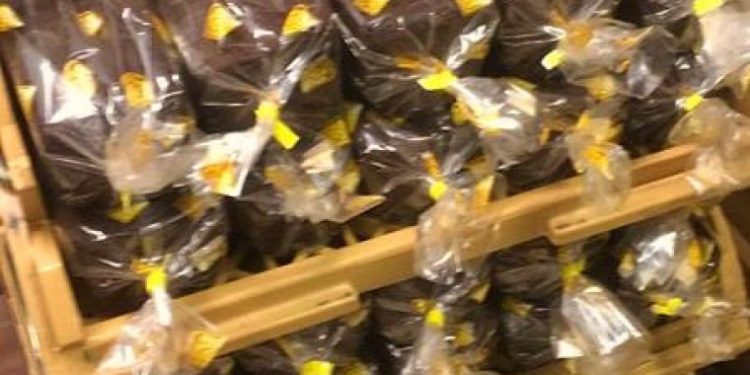 Ook dit jaar weer de koekactie voor én door de jeugd van Blauw Wit ‘66 nijkamp blauwwit 