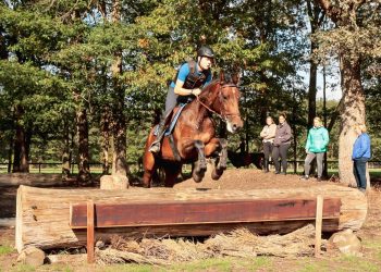 Kennismaken met de paardensport snorrewind 