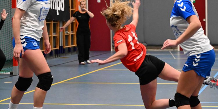 Holtense handbaldames doen goede zaken 