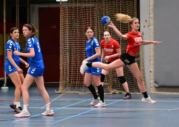 Handbaldames zegevieren in Broekland hv holten 
