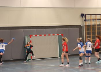 Handbaldames dames 1 starten competitie met zege hv holten 