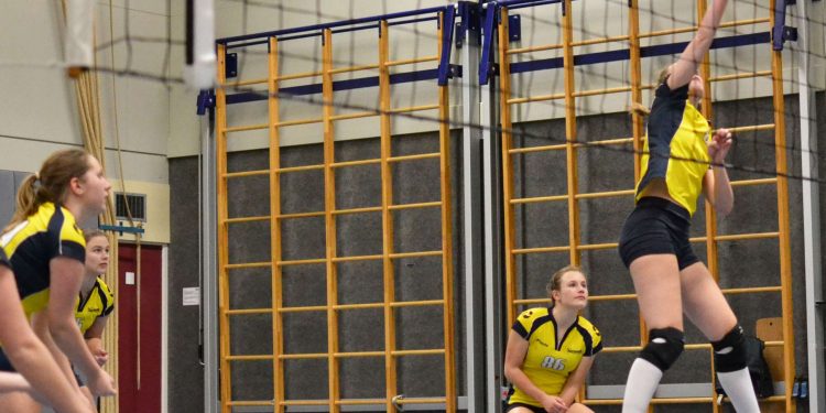 Dames 3 volleybal winterkampioen mintonette 