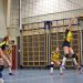 Amateurschilders exposeren in het Kulturhus Holten kulturhus 
