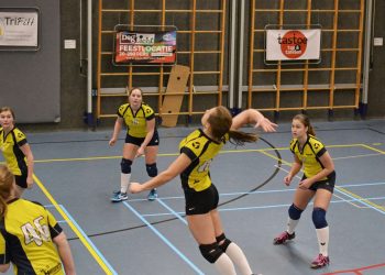 Mintonette CMV-4 Kampioen mintonette 