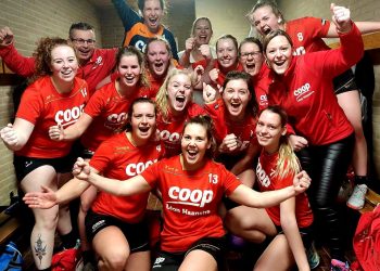 Handbaldames zegevieren in Broekland hv holten 