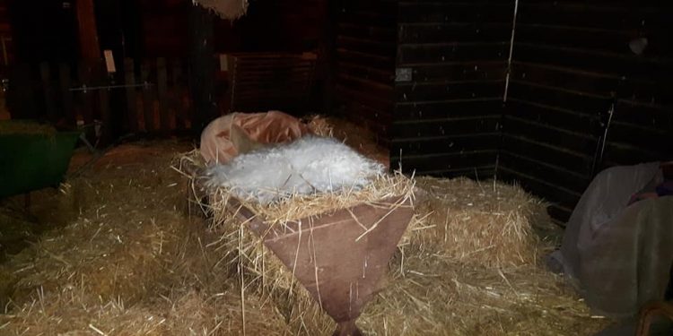 Levende kerststal bij Dondertman dondertman 