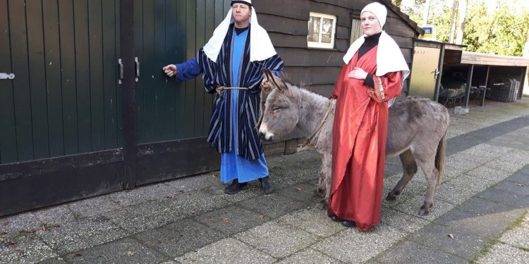 Levende kerststal bij Dondertman dondertman bie toontje 