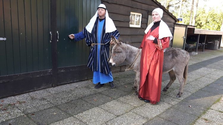Levende kerststal bij Dondertman dondertman bie toontje 