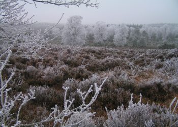 Inschrijven voor de Diepe Hel Holterbergloop kan nog tot en met 22 oktober sallandse heuvelrug 