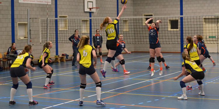 Volleybal dames 3 wint overtuigend mintonette 