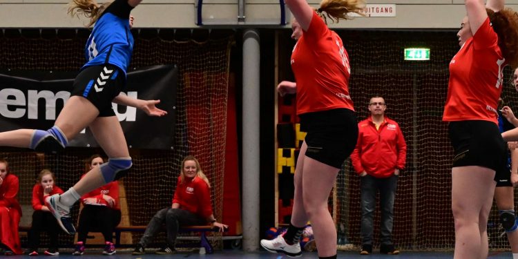 Overtuigende zege Holtense handbaldames tegen Zwolle tastoe 