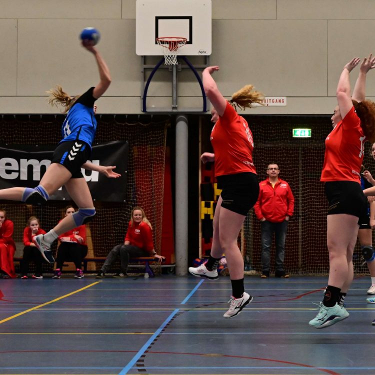 Overtuigende zege Holtense handbaldames tegen Zwolle tastoe 