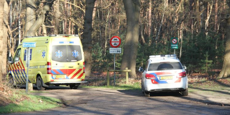 Mountainbiker gewond op Sallandse Heuvelrug tussen Holten en Haarle sallandse heuvelrug 