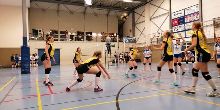 Mintonette volleybaldames 1 opent de jacht op de derde plaats in de 4e klasse B mintonette 