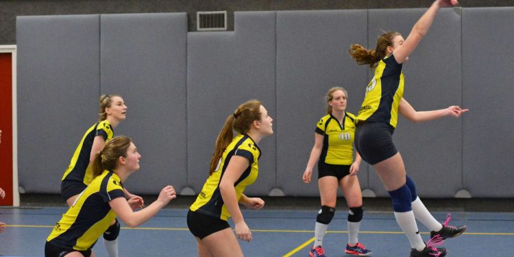 Duidelijke overwinning volleybalbal dames 3 mintonette 