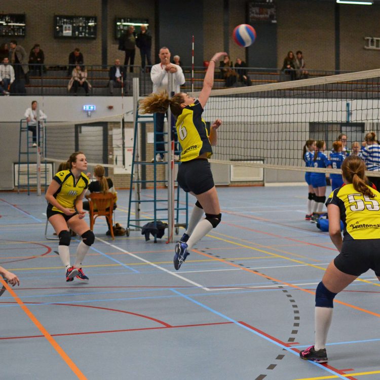 Moeizame overwinning voor volleybaldames 3 mintonette 