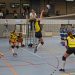 Holtense handbaldames winnen topduel in Wijhe hv holten 