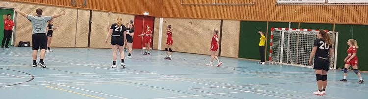 Holtense handbaldames winnen topduel in Wijhe hv holten 