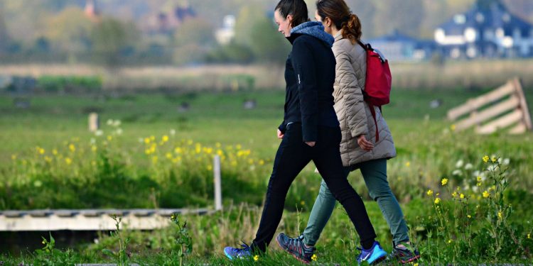 Maatjes gezocht in Rijssen en Holten 