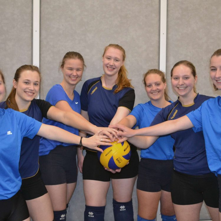 Volleybaldames 3 promoveren naar 3e klasse volleybal mintonette dames 