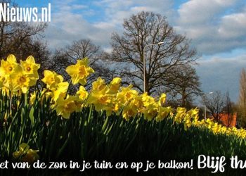 Roefeldagen verplaatst viavie welzijn roefeldag corona 
