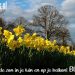 Asperge-ijs bij de Biester de biester 