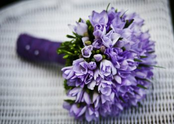 Expositie schedels en botten natuurmuseum holterberg 