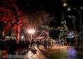 Carnaval Slingeroamd 2016 fotoalbum fienpreuvers carnaval 