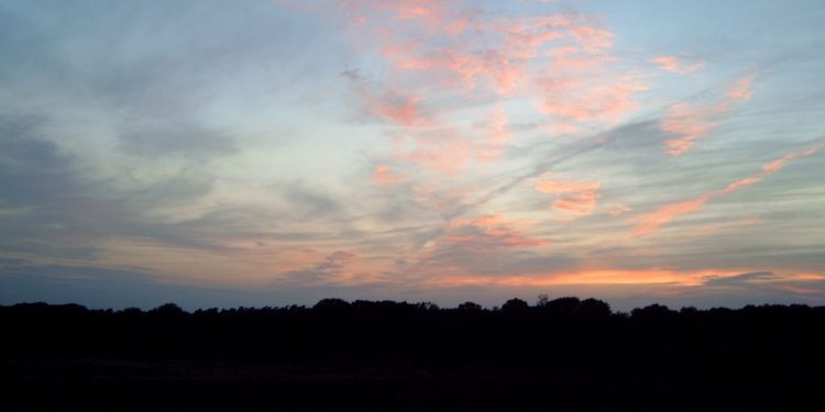 Avondwandeling; het donker tegemoet natuurdiorama 