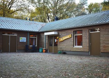 Zomeractiviteiten door jeugd- en jongerenwerk viavie welzijn viavie jongerenwerk haarschool 