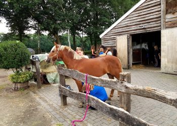 Kennismaken met de paardensport snorrewind 