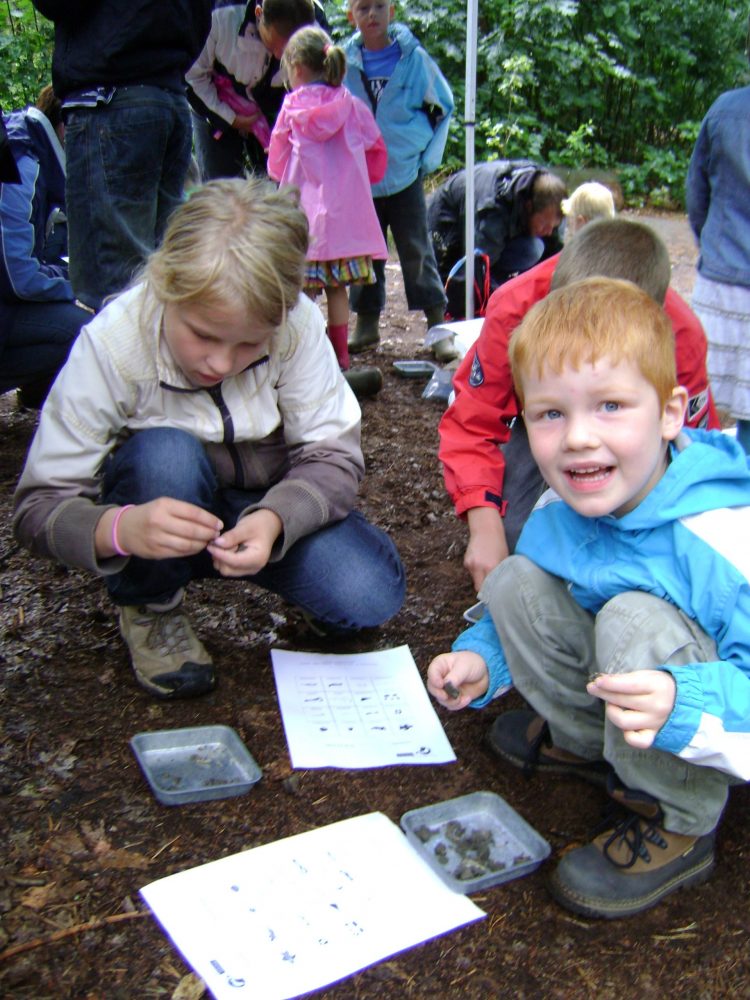 Natuurmuseum Holterberg heeft zin in de zomer! 