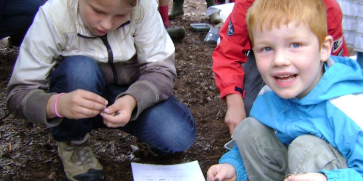 Natuurmuseum Holterberg heeft zin in de zomer! 