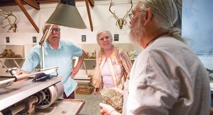 Een kei-leuke dag bij Natuurmuseum Holterberg! 