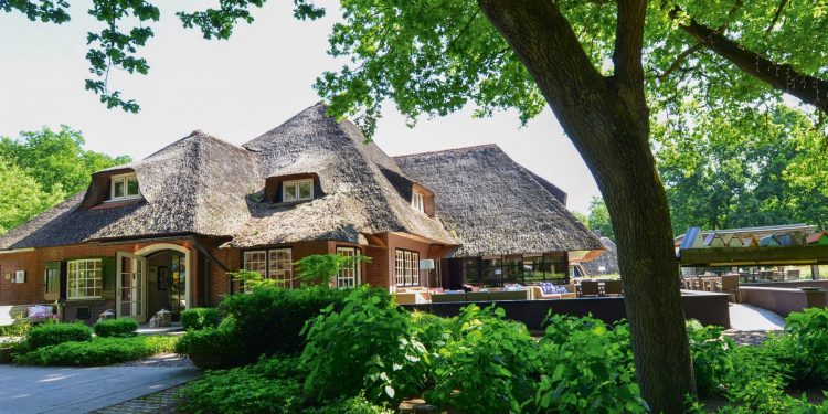 Hoog Holten: een parel omringd door bos sallandse heuvelrug gemeente 