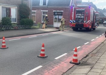 Hond gered door brandweer brandweer 
