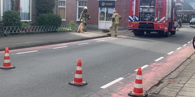 Hond gered door brandweer brandweer 