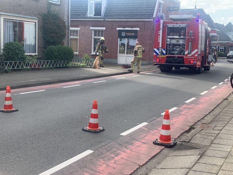 Hond gered door brandweer brandweer 