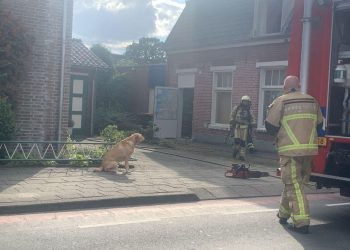Hond gered door brandweer brandweer 