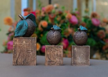 11e Etalage Kunst Route in Holten-centrum waerdenborch kulturhus 