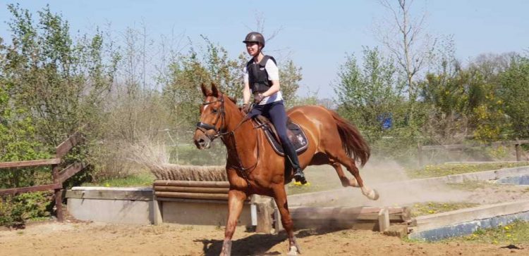 Crossen bij Snorrewind snorrewind 