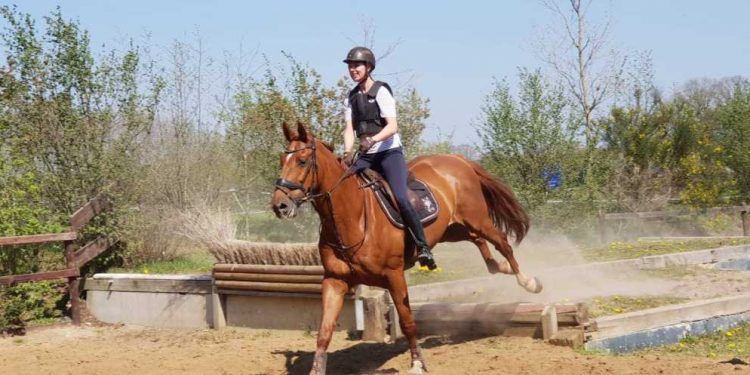 Crossen bij Snorrewind snorrewind 