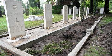HoltensNieuws.nl Groen dichterbij zoekt het groene buurtproject van Overijssel Groen dichterbij zoekt het groene buurtproject van Overijssel