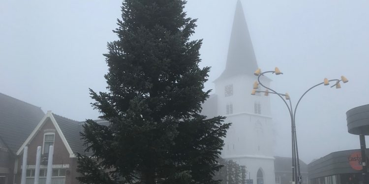Kerstboom geplaatst op Smidsbelt smidsbelt gemeente corona 