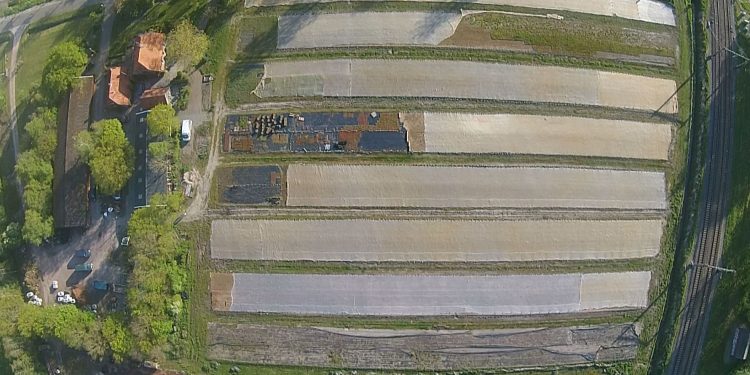 Dutch Greenroof sluit zich aan bij Royal FloraHolland 