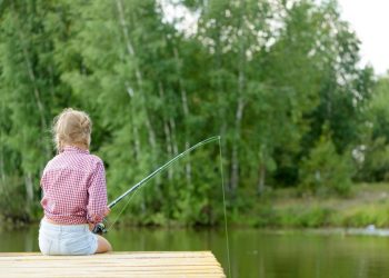 Workshop over ‘Mijn overheid’ en de Berichtenbox bibliotheek 