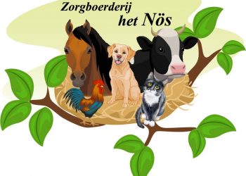 Extern nieuws: Op zoek naar een sociale huurwoning? In Rijssen-Holten wacht je het minst lang nieuws holten gemeente extra 