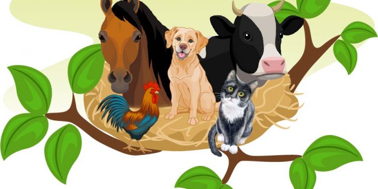 HoltensNieuws.nl 15 jaar Zorgboerderij het Nös 15 jaar Zorgboerderij het Nös gemeente